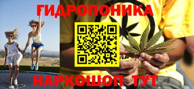 дмт Новокубанск