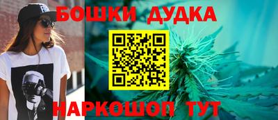 дмт Новокубанск