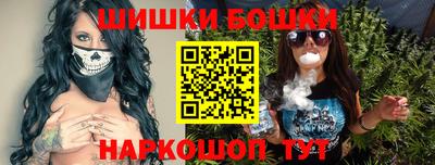 дмт Новокубанск