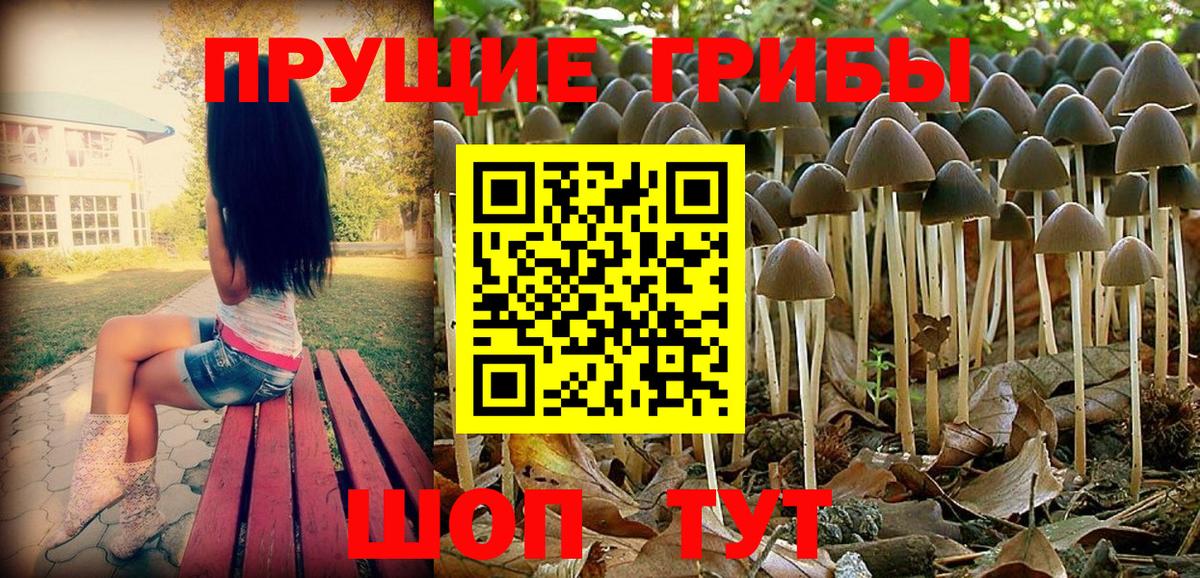 Ялуторовск  Галлюциногенные грибы ЛСД  Вход с VPN 